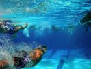 Girl, Underwater, Pool, Ripples, Water, Liquid, Wet, bubbles, Wavelets, SWDD01_138