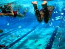 Boy, Underwater, Pool, Ripples, Water, Liquid, Wet, bubbles, barefoot, bare feet, foot, Wavelets, SWDD01_149