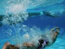 Boy, Underwater, Pool, Ripples, Water, Liquid, Wet, Bubbles, Wavelets, SWDD01_154