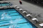 Pool, Diving, SWDD01_197