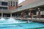 Pool, Diving, SWDD01_225