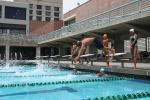Pool, Diving, SWDD01_226