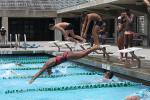 Pool, Diving, SWDD01_246