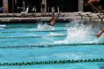 Pool, Diving, SWDD01_248