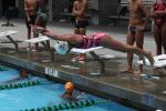Dive, Diving, Pool, SWDD01_270