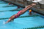 Dive, Diving, Pool, SWDD01_271
