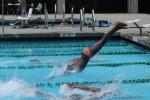 Dive, Diving, Pool, SWDD01_275