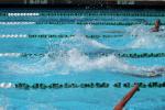Pool, Diving, SWDD01_276