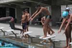 Pool, Diving, SWDD01_293