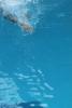 Pool, Diving, SWDD02_048