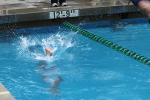 Boy, Underwater, Dive, Diving, Pool, SWDD02_087