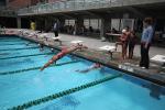 Dive, Diving, Pool, SWDD02_100