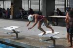 Dive, Diving, Pool, SWDD02_101
