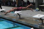 Dive, Diving, Pool, SWDD02_102