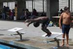 Dive, Diving, Pool, SWDD02_105