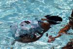 Girl, Underwater, Pool, Ripples, Water, Liquid, Wet, Wavelets, SWDD02_251