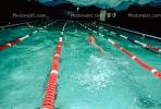 Swimmer, Lane, Natatorium, Pool, SWDV01P06_05.2661