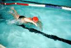Swimmer, Lane, Natatorium, Pool, SWDV01P06_14