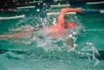Swimmer, Lane, Natatorium, Pool, SWDV01P06_16.2661