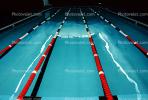 Swimmer, Lane, Natatorium, Pool, SWDV01P08_05