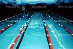 Swimmer, Lane, Natatorium, Pool, SWDV01P08_06