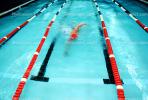 Swimmer, Lane, Natatorium, Pool, SWDV01P08_08