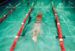Swimmer, Lane, Natatorium, Pool, SWDV01P08_11.2661