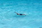 Backstroke, Lady Swimming, SWDV01P09_05