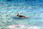 Backstroke, Lady Swimming, SWDV01P09_06