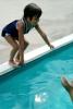 little girl jumping into a swimming pool