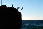Cliff, Rock Jumping, dive, Waimea Bay, Oahu, SWDV02P10_08
