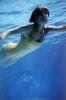 Girl Underwater, Natatorium, Pool, SWDV02P10_17
