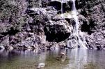 Waterfall, Lake, Fjiordland National Park, New Zealand, Milford Track, SWFV01P12_12