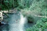 Liard Hot Springs, British Columbia, Canada, SWFV01P12_15