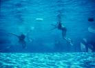 Swimming Pool, Underwater, Izmir, Turkey, Ripples, Water, Liquid, Wet, 1970, 1970s, Wavelets, SWFV01P14_04