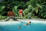 Swimming Pool, Diving Board, Palm Trees, SWFV02P01_01