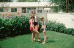 Backyard, Sprinkler, Lawn, Summer, Retro, 1960s