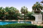 Swimming Pool, Diving Board, Palm Trees, Summer, Summertime, SWFV02P07_15