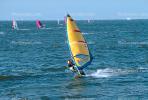 Windsurfer, waves, speed, fast, water, bay, San Mateo, SWSV01P05_09.2661