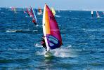 Windsurfer, waves, speed, fast, water, bay, San Mateo, SWSV01P05_16