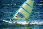 Windsurfer, waves, speed, fast, water, bay, San Mateo, SWSV01P06_09
