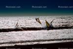 Windsurfer, waves, speed, fast, water, Pacific Ocean, Santa Cruz County Beach, SWSV01P09_06.2662