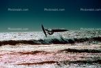 Windsurfer, waves, speed, fast, water, Pacific Ocean, Santa Cruz County Beach, SWSV01P09_11.2662