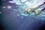 Snorkeling, Isla Mujeres, SWUV01P02_18