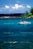 Snorkeling, Napili Bay, Maui, SWUV01P03_12