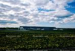 Hangar, Ottawa/Rockcliffe Airport, Rockcliffe Airport, Canada Aviation Museum, (YRO), Ottawa, Canada, building, flower field