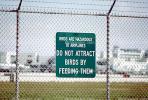 Birds Are Hazardous to Airplanes - DO NOT ATTRACT BIRDS BY FEEDING THEM