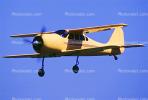N985L, Griffon Aerospace Lionheart, Staggerwing