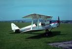 De Havilland DHSaint82A Tiger Moth, 1950s, TABV01P15_19.0361
