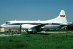 N295M, tfa, Convair CV-240-5, Trans-Florida Airlines, CV-240 series, 240, R-2800